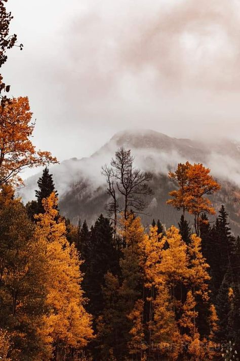 Scenery Widget, Fall Mountain Aesthetic, Misty Photography, Fall Mountains Aesthetic, Brown Mountain Aesthetic, Mountain Autumn Photography, Fall In The Mountains Aesthetic, Mountains In Autumn, Brown Mountains