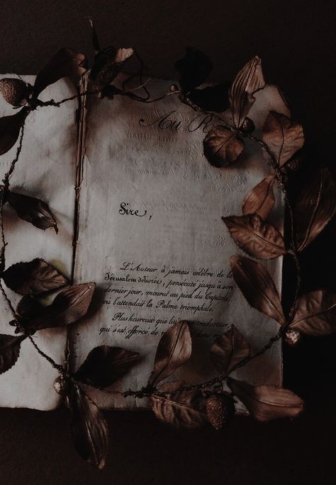 Fairytale Aesthetic, Royalty Aesthetic, Royal Aesthetic, Book Flowers, Book Wallpaper, Dark Academia Aesthetic, Fantasy Aesthetic, Pretty Wallpapers Backgrounds, Brown Aesthetic