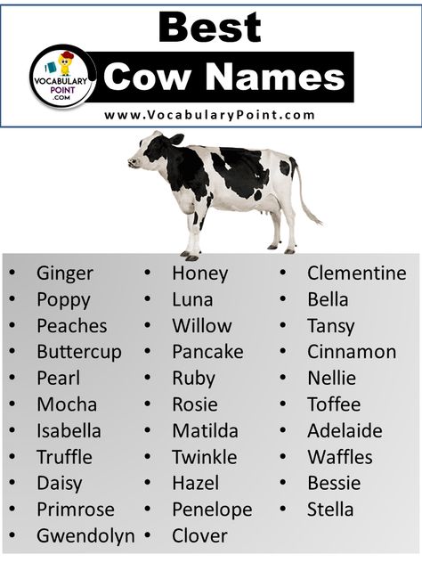 It’s time to give some love and attention to a different kind of pet: cows! Yes, you read that right. These gentle giants are not only milk-producing machines but also have distinct personalities and deserve unique names just like any other beloved pet. So, whether you’re a farmer looking for inspiration or simply a cow ... <a title="250 + Best Cow Names (Cute, Funny& Unique)" class="read-more" href="https://vocabularypoint.com/cow-names/" aria-label="More on 250 + Best Co... Cow Names Ideas, Cow Types, Craft Names, Goat Names, Fae Farm, Cute Animal Names, Mother Culture, Female Cow, Cow Names