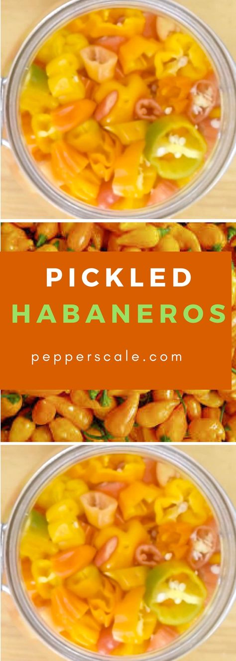 Pickled Habaneros, Pickled Pepperoncini, Habanero Recipes, Hot Pepper Recipes, Hot Pickles, Habanero Hot Sauce, Hot Sauce Recipes, Habanero Peppers, Garden Recipes