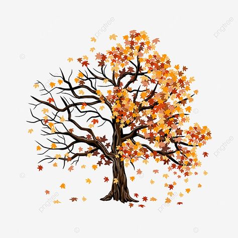 Fall Tree Drawing Autumn Leaves, Maple Tree Drawing Simple, Maple Tree Illustration, Fall Tree Illustration, Dead Tree Drawing, Maple Tree Drawing, Fall Tree Drawing, Autumn Tree Branch, Single Drawing