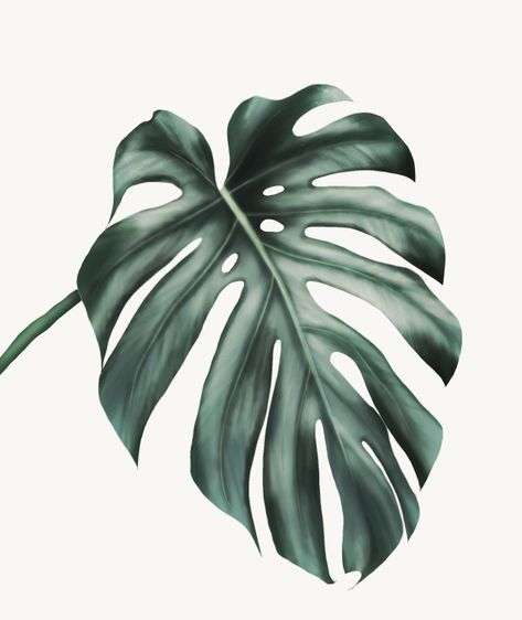 Monstera Leaf Drawing, Monstera Leaf Painting, Cheese Plant Leaf, Structure Paint, Using Procreate, Swiss Cheese Plant, Leaf Painting, Room Painting, 강아지 그림