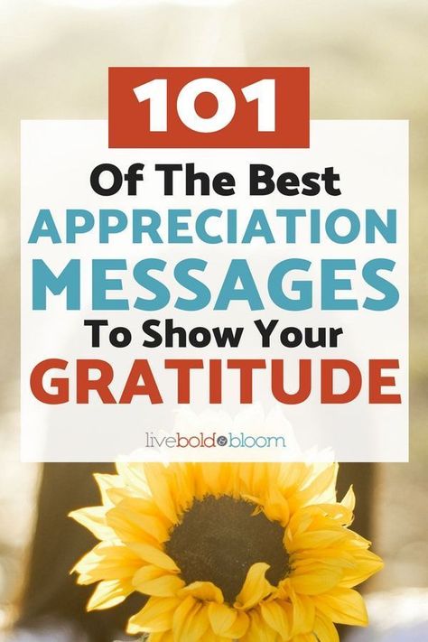 109 Of The Best Appreciation Messages to Show Your Gratitude Employee Appreciation Ideas, Grateful Quotes Gratitude, Thank You Card Sayings, Thank You Note Wording, Thank You Quotes Gratitude, Thank You Messages Gratitude, Appreciation Letter, Best Employee, Gratitude Notes