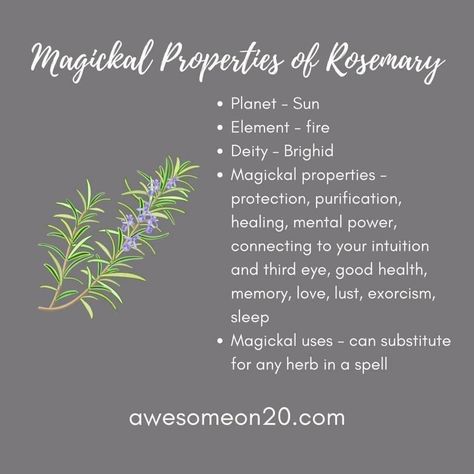 Rosemary Properties Magic, Rosemary Magical Properties, Rosemary Witchcraft Uses, Rosemary Witchcraft, Rosemary Properties, Witchy Plants, Grimoire Inspiration, Thyme Uses, Herb Magick