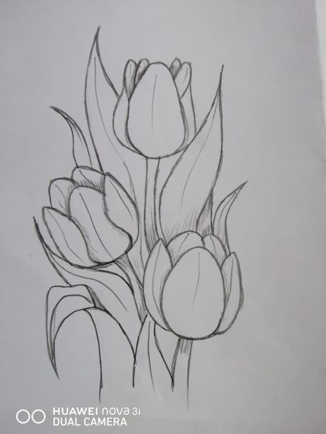 Flower Art Drawing, Flower Sketches, Easy Drawings Sketches, Nature Drawing, Hand Art Drawing, Art Inspiration Painting, Book Art Drawings, Art Tutorials Drawing, Art Drawings Sketches Simple