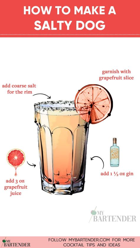 Unleash the zest with our Salty Dog cocktail recipe! 🍹🐾 Crafted with grapefruit vodka, fresh grapefruit juice, and a signature salted rim, this citrus-infused libation is the perfect blend of sweet and salty. Shake, strain over ice, and garnish with a grapefruit wedge for a refreshing twist. 🍊 #SaltyDog Salty Dog Cocktail Recipe, Grapefruit Gin Cocktail, Salty Dog Cocktail, Classic Vodka Cocktails, Dog Cocktail, Grapefruit Vodka, Classic Gin Cocktails, Grapefruit Cocktail, Cocktail Shots