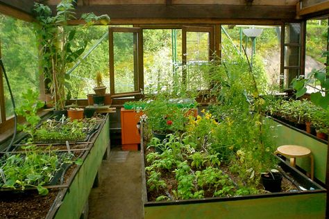 Greenhouses: How to Plan Your Layout - Gardening Latest Greenhouse Interior Layout, Greenhouse Interiors Layout, Greenhouse Layout, Spiritual Garden, Outdoor Renovation, Large Greenhouse, Interior Layout, Greenhouse Interiors, Greenhouse Ideas