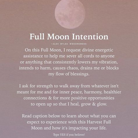 Bio About Moon, Harvest Full Moon, Full Moon Meaning, Year Board, Spiritual Awakening Higher Consciousness, Yoga Teacher Resources, About Moon, Moon Meaning, Meditation Scripts