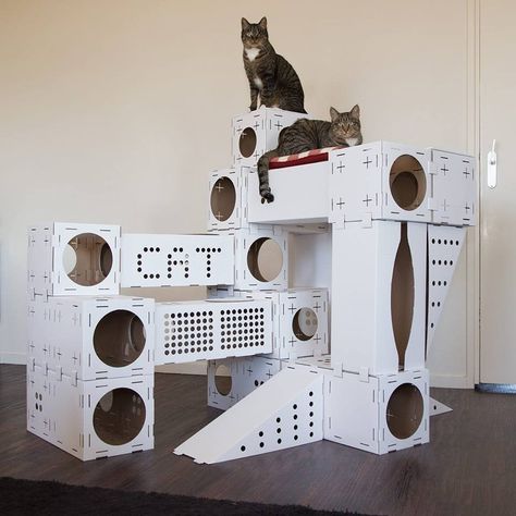 Blocks Modular Cat Playhouse #Cat, #House, #Modular, #Playful Cat Play House Diy, Cat House Diy Cardboard, Cat Playhouse, Kat Diy, Cardboard Cat House, Cat Castle, Cat Houses, Cat House Diy, Diy Cat Toys