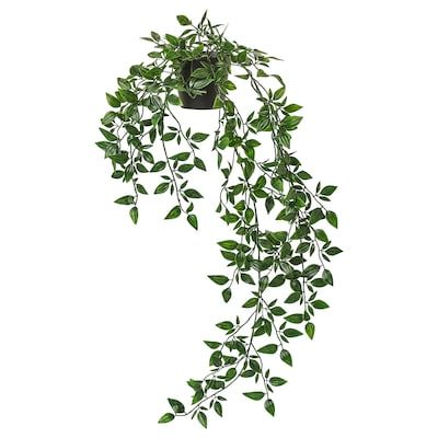 Pachira Aquatica, Juliette Balcony, Artificial Hanging Plants, Hedera Helix, Hanging Plants Indoor, Artificial Potted Plants, Picture Ledge, Bedroom Plants, Garden Rooms