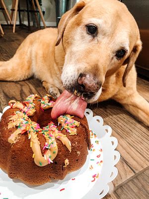 Peanut Butter Dog Cake, Cake For Dogs, Dog Birthday Cake Recipe, Dog Cake Recipes, King Cake Recipe, Peanut Butter For Dogs, Dog Biscuit Recipes, Easy Dog Treats, Healthy Dog Treats Homemade