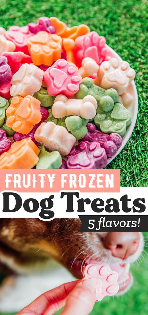 Easy Frozen Dog Treats (5 Flavors!) Dog Treats With Fruit, Frozen Treats For Dogs Recipe, Fruit Treats For Dogs, Cold Treats For Dogs, Ice Dog Treats, Dog Treat Food Truck, Cold Dog Treats Homemade, Easy Frozen Dog Treats, Dog Freezer Treats