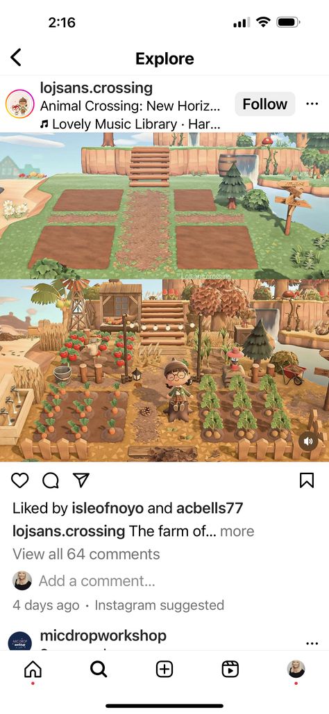 Acnh Tomato Farm, Animal Crossing Crop Farm, Animal Crossing Veggie Garden, Circus Animal Crossing, Acnh Vegetable Garden Layout Ideas, Animal Crossing Vegetable Garden Ideas, Animal Crossing Vegetable Garden, Acnh Vegetable Garden, Acnh Orchard Layout Ideas