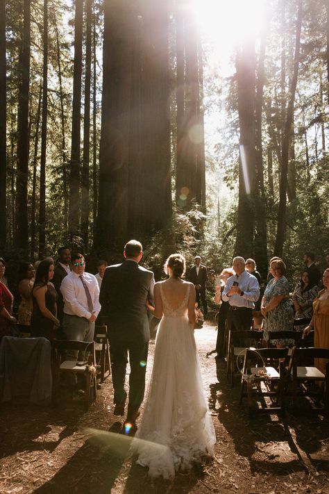 Intimate forest wedding in Santa Cruz by elopement photographer Paige Nelson, with ceremony in Henry Cowell Redwoods State Park near Felton and family style meal at Ristorante Casa Nostra in Ben Lomond. Intimate Forest Wedding Ceremony, Forest Wedding Ontario, California Redwoods Wedding, Redwoods Wedding California, Forest Wedding Elopement, Forest Wedding Portraits, Henry Cowell Redwoods State Park, Forest Elopement Dress, Micro Wedding Inspiration