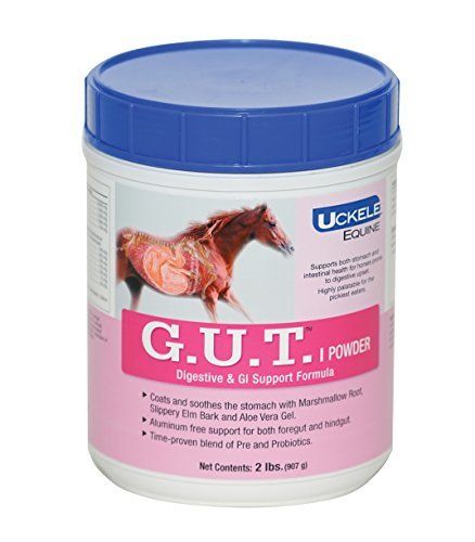 Slippery Elm Bark, Digestive Supplements, Horse Supplements, Intestinal Health, Shire Horse, Gut Flora, Slippery Elm, Gi Tract, Help Digestion