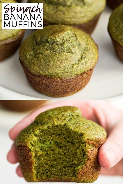 These blender Spinach Banana Muffins are an easy, healthy, freezer-friendly breakfast full of fruit and veggies! We call them "hulk" muffins because of their fun, naturally green color! They are gluten-free, dairy-free and have no refined sugar! #muffins #spinach #banana #glutenfree #dairyfree #vegan #green #stpattricksday #naturallygreen #breakfast via @joyfoodsunshine Hulk Muffins, Spinach Banana Muffins, Green Muffins, Spinach Muffins, Fruit And Veggies, Kid Snacks, Banana Muffin Recipe, Glutenfree Dairyfree, Healthy Muffins