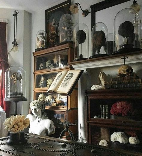 Cabinet Of Curiosity Aesthetic, Antique Collections Display, Room Of Curiosities, Oddities Decor Victorian, Victorian Naturalist Aesthetic, Curiosity Cabinet Aesthetic, Cabinet Of Curiosities Aesthetic, Alchemy Decor, Naturalist Aesthetic