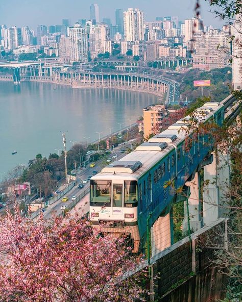 Japanese Wallpaper, Chongqing China, China City, Chongqing, Dream City, China Travel, City Aesthetic, Travel Goals, Places Around The World