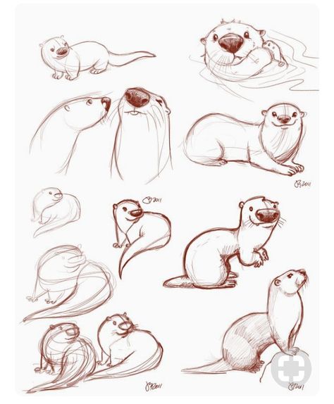 Forw cartoon rather than realism, make his nose larger than life, for instance, & emphasize curves... Otter Drawing, Pet Tips, Sea Otters, Red Pandas, Baby Sloth, Reptiles Pet, 캐릭터 드로잉, Pet Photography, Animal Sketches