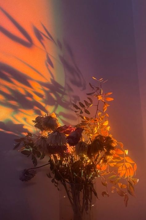 Burnt Flowers Aesthetic, Two Flowers Aesthetic, Flower Asthetics Drawings, Jerrycore Aesthetic, Light Floral Aesthetic, Burning Flowers Aesthetic, Wilting Flowers Aesthetic, Wilted Flowers Aesthetic, Flower Aesthetic Orange