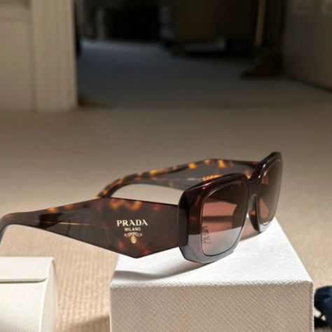 Prada sunglasses Prada Glasses Aesthetic, Prada Sunglasses Aesthetic, Prada Sunglasses Women, Prada Shades, Prada Pr 17ws, Brown Solid Color, Sunglasses Aesthetic, Prada Glasses, Baby Luggage