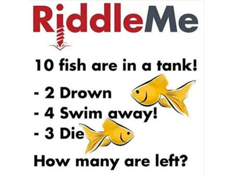 Impossible Riddles, Tricky Games, Funny Riddles With Answers, Brain Teasers Riddles, Tricky Riddles, Riddles To Solve, Trick Questions, Math Riddles, Funny Riddles