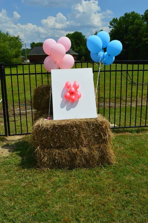 Gender reveal idea with balloons and shoot arrow through it!! Bow And Arrow Gender Reveal Party Ideas, Bow And Arrow Gender Reveal, Arrow Gender Reveal, Paint Gender Reveal, Baby Bbq, Baseball Gender Reveal, Gender Reveal Box, Bow Gender Reveal, Baby Niece