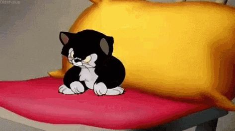 Kitten Gif, Tom And Jerry, Cute Gif, Looney Tunes, Walt Disney, Funny Pictures, Snoopy, Gif, Kitty