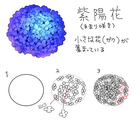 Flower Drawing Tutorials, Concept Art Tutorial, Flower Art Drawing, Coloring Tutorial, 수채화 그림, Plant Drawing, Japanese Flowers, Digital Painting Tutorials, Digital Art Tutorial