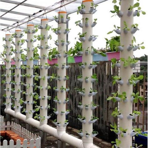 How To Make Home Garden And Fresh Vegetables By PVC Pipe - Engineering Discoveries Vertikal Garden, Little Spaces, Growing Food Indoors, Gardens Of Babylon, Vertical Garden Design, Vertical Vegetable Garden, Vertical Herb Garden, Vegetable Garden Diy, Hydroponic Growing