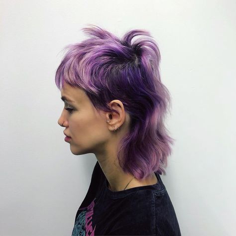 kellybuytaert’s Instagram profile post: “Missing my purple hair 💜 color used #purplerain💜 #girlsnight @arcticfoxhaircolor cut @bagussubakty for @tonikalinlabelsalon54 #mullet…” Purple Mullet Hair, Purple Hair Mullet, Mullet Hair Color Ideas, Color Mullet, Purple Mullet, Dyed Mullet, Purple And White Hair, Blue Mullet, Dyke Hair