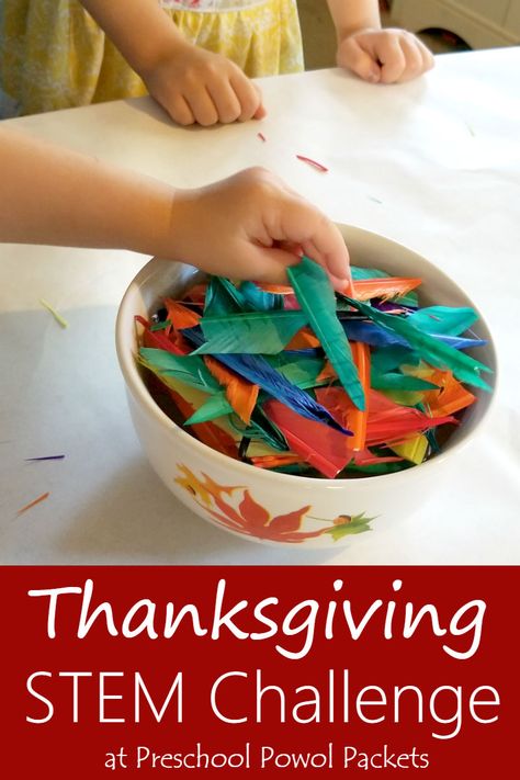 Perfect Thanksgiving STEM challenge! Also great for a bird theme!  We used it with preschoolers and older kids and everyone loved it!! Thanksgiving Science Activities, Thanksgiving Science, Thanksgiving Stem Activities, Thanksgiving Lesson Plans, Thanksgiving Stem, Thanksgiving Activities For Kindergarten, Thanksgiving Activities Preschool, Stem Activities Preschool, Thanksgiving Lessons