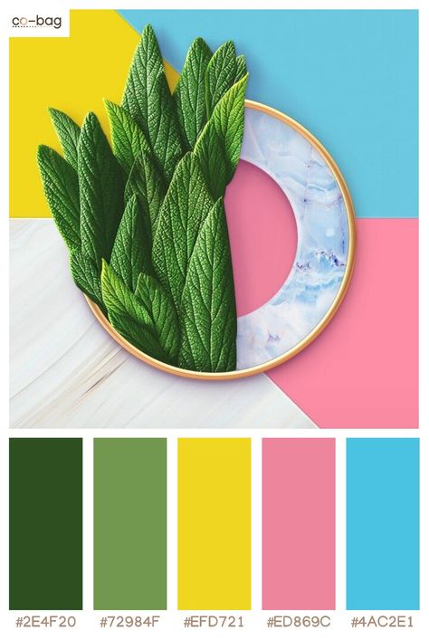 Pink Turquoise Green Color Palette, Blue Yellow Pink Green Color Palette, Green And Rose Color Palette, Yellow Pink Green Colour Palettes, Green Yellow Pink Color Palette, Baby Blue Colour Palette, Pink Green Yellow Color Palette, Pink Green Blue Color Scheme, Pink Yellow Green Color Palette