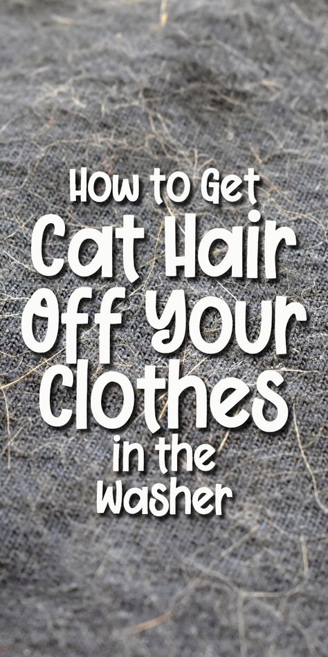 How to Get Cat Hair off Your Clothes in The Washing Machine How To Get Cat Hair Off Clothes, How To Get Pet Hair Off Clothes, Tips To Keep Your Kitty Clean, How To Get Dog Hair Off Clothes, Pet Hair Removal Laundry, Diy Washing Machine, Cat Advice, Cat Hair Removal, Cat Cleaning