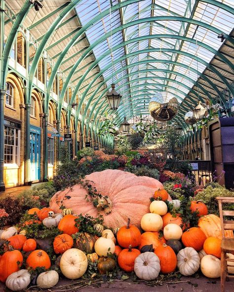 London Halloween, Get Paid To Travel, October Country, Paid To Travel, Pumpkin Display, Covent Garden London, Emergency Evacuation, Breathtaking Places, Visit London