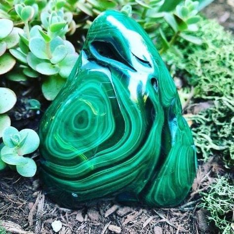 Crystal Malachite, Simple Tats, Malachite Crystal, Crystal Aesthetic, Crystal Display, Energy Art, Pretty Rocks, Cool Rocks, Malachite Stone