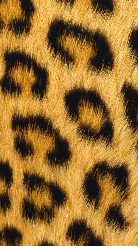 leopard-print--iPhone-6-wallpaper Smart Wallpaper, Cheetah Print Background, Animal Skin Pattern, Cheetah Print Wallpaper, Wild Animal Wallpaper, Gold Wallpaper Background, Tiger Skin, Animal Print Wallpaper, Abstract Wallpaper Backgrounds