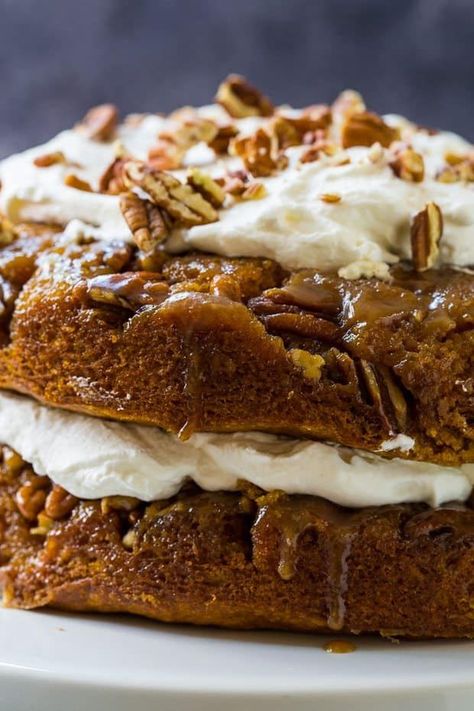 Pumpkin Torte, Pumpkin Praline, Spicy Southern Kitchen, Praline Cake, Southern Kitchen, Fall Spices, Pumpkin Dessert, Pumpkin Cake, Pumpkin Fall