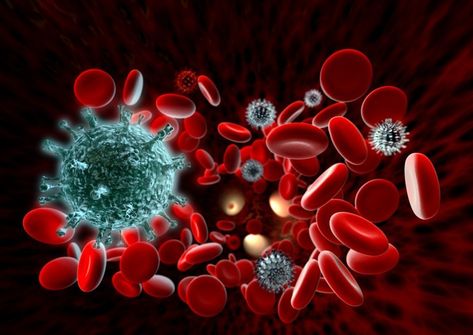 Autoimmunity... Simplified | Gutsy By Nature Viral Infection, Cell Regeneration, Chronic Inflammation, Aids Hiv, Blood Cells, Chronic Disease, Blood Test, Stem Cells, Immune System