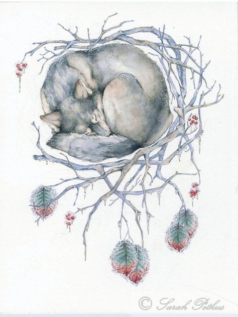 Winter Dreamcatcher on Behance Sleeping Wolf, Watercolor Wolf, Wolf Illustration, Animal Art Print, 강아지 그림, Wolf Spirit, 1 Tattoo, Fox Art, Wolf Art