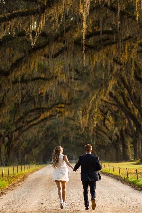 Wormsloe Savannah Ga Photos, Saint Louis Engagement Photos, Bayou Engagement Photos, Savannah Georgia Engagement Photos, Engagement Photos Georgia, Wormsloe Engagement Photos, Scottsdale Engagement Photos, Low Country Engagement Photos, South Carolina Engagement Photos