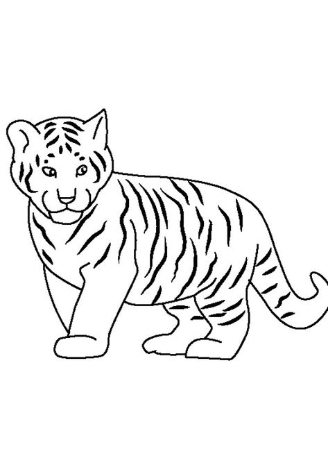 Tiger Template Free Printable, Tiger Coloring Pages Free Printable, Cute Tiger Drawing Easy, Tiger Simple Drawing, Tiger Clipart Black And White, Tiger Drawing Simple, How To Draw A Tiger, Simple Tiger Drawing, Tiger Drawing Sketches