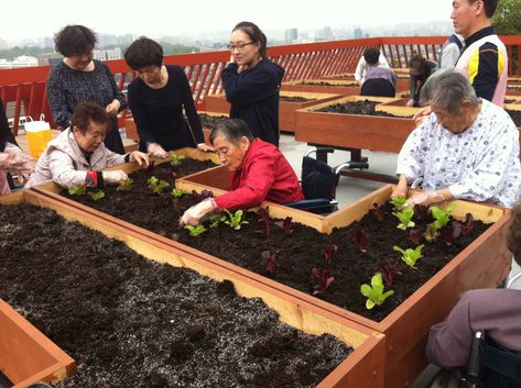 Horticulture Therapy, Garden Trains, Healing Garden, Urban Agriculture, Farm Food, Sensory Garden, Healthcare Design, Nursing Home, Community Gardening