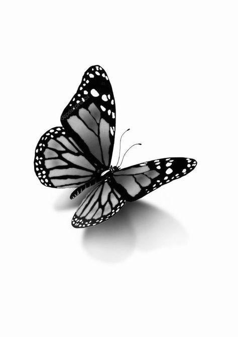 3d Butterfly Tattoo Black And White, Butterfly Shadow Tattoo, Butterfly With Shadow Tattoo, 3d Butterfly Tattoo Designs, Butterfly Tattoo Realistic, Black And Grey Butterfly, Butterfly Tattoo Black, 3 Butterfly Tattoo, Mens Butterfly Tattoo