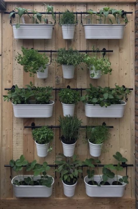 Hanging Herb Gardens, Herb Garden Wall, Outdoor Herb Garden, Herb Garden Ideas, Hanging Herb Garden, Herb Wall, Hanging Herbs, Vertical Garden Design, Vertical Garden Wall