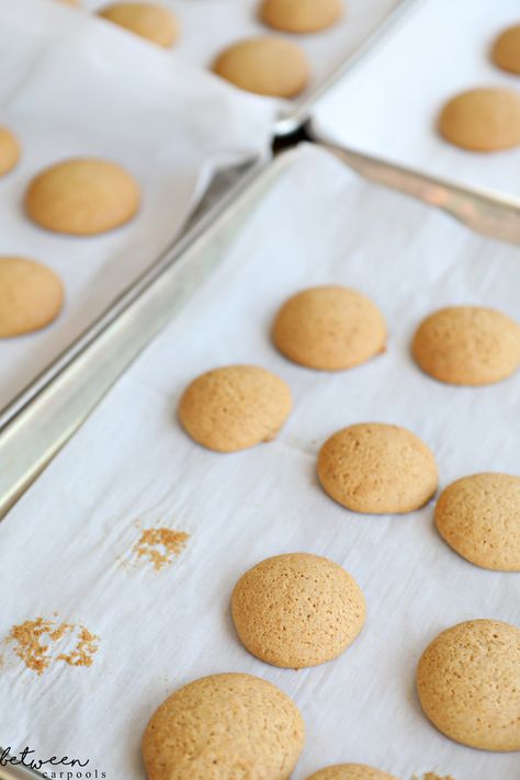 Perfect Honey Cookies For Rosh Hashanah | Between Carpools Rosh Hashanah Cookies, Honey Cookies Recipe, Making Honey, Jewish Foods, Hebrew School, Honey Cookies, Favorite Cookie Recipe, Holiday Eating, Rosh Hashana