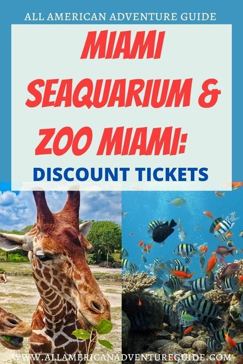 Want to save money on Miami Seaquarium and Zoo Miami tickets? Click on the image to find out how! #allamericanadventureguide Miami Seaquarium, Zoo Tickets, Adventure Guide, Florida Travel, Ways To Save Money, Ways To Save, Miami Beach, Beach Trip, Save Money