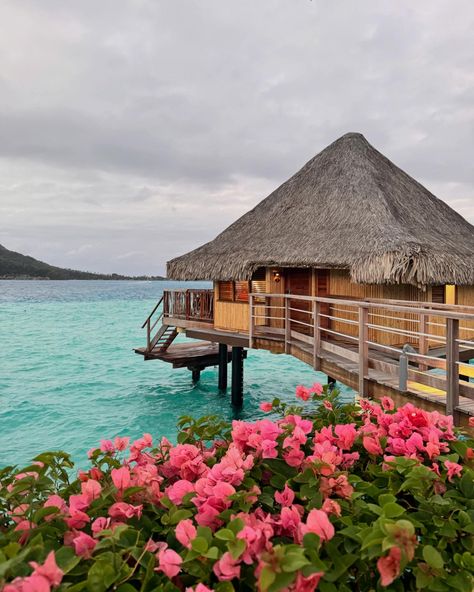 kisses from Bora Bora Bora Bora House, Bora Bora Vacation, Bora Bora Honeymoon, Beach Hut, Beach Villa, Bora Bora, Vacation Home, Beautiful Places, Bucket List