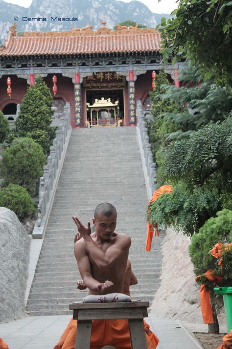 Hard training in Fawang Temple #Shaolin #training #China #Fawang #Temple #kungfu Photo by Deminius, August 2014 Shaolin Monks, Shaolin Kung Fu, Wing Chun, Tai Chi, Kung Fu, Buddhism, Dream Life, Martial Arts, Deadpool