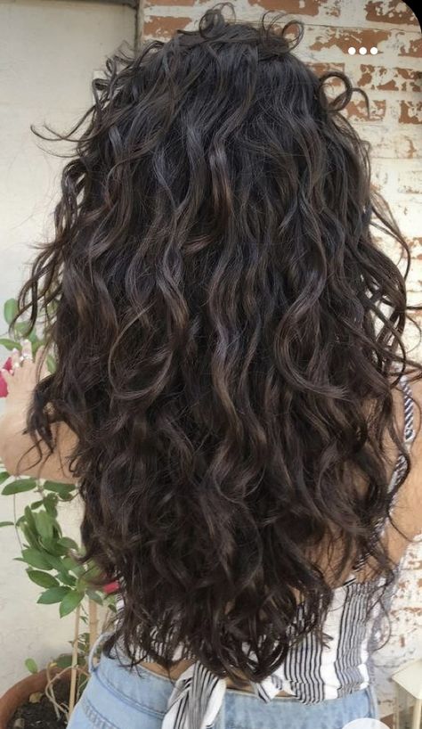 Brunette Hair Inspiration, Wavy Hair 2b, Brunette Curly Hair, Perfect Curly Hair, Long Curly Haircuts, Black Wavy Hair, Natural Curly Hair Cuts, Hair 2024, Haircuts For Wavy Hair